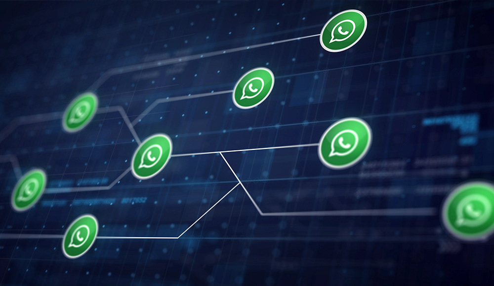 WhatsApp Business: l’applicazione di messaggistica che velocizza e migliora il rapporto col cliente 
