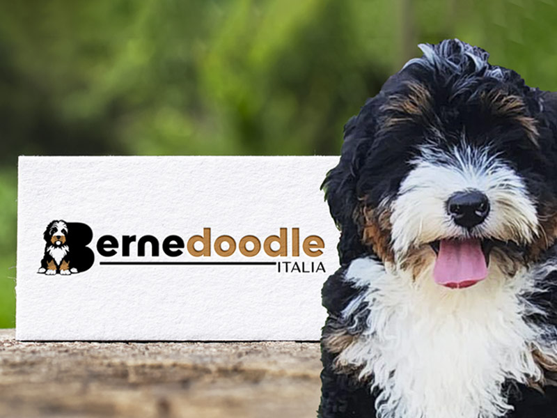 Bernedoodle Italia logo 